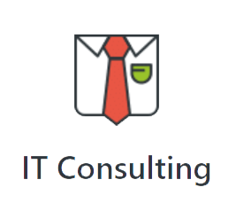 it consulting it support near me illinois it company